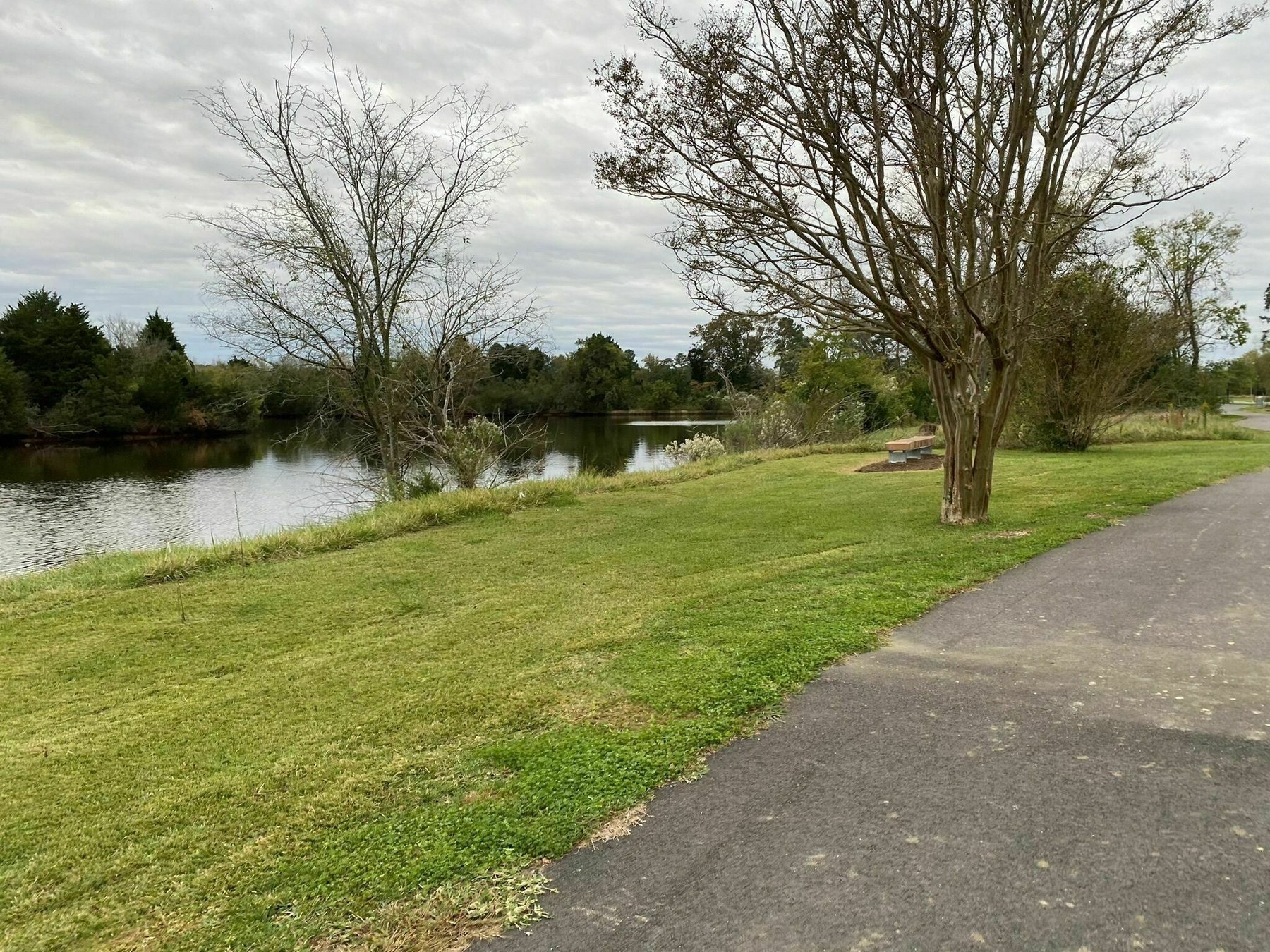 8 Nature Trails Near Joint Base LangleyEustis